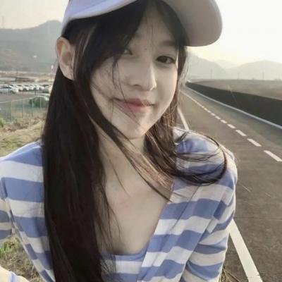 我私人的爱达荷