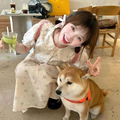 长安的荔枝